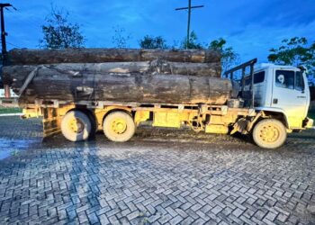 POLÍCIA MILITAR DE RONDÔNIA APREENDE CINCO VEÍCULOS E MAIS DE 78 METROS CÚBICOS DE MADEIRA EM OPERAÇÃO INTEGRADA