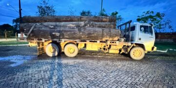 POLÍCIA MILITAR DE RONDÔNIA APREENDE CINCO VEÍCULOS E MAIS DE 78 METROS CÚBICOS DE MADEIRA EM OPERAÇÃO INTEGRADA