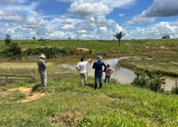Monitoramento de áreas em recuperação ambiental no estado é intensificado pelo governo de RO