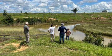 Monitoramento de áreas em recuperação ambiental no estado é intensificado pelo governo de RO