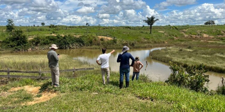 Monitoramento de áreas em recuperação ambiental no estado é intensificado pelo governo de RO