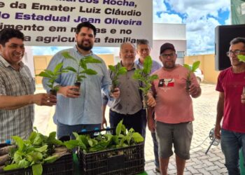Jean Oliveira destina mais de 147 mil mudas de café para produtores de Rolim de Moura