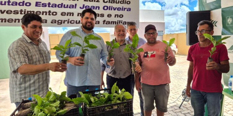 Jean Oliveira destina mais de 147 mil mudas de café para produtores de Rolim de Moura