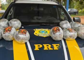 PRF em Rondônia apreende aproximadamente 11 kg de droga em ônibus na BR 425