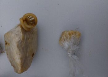 PMRO captura foragido e APREENDE drogas que seriam levadas a Porto Velho