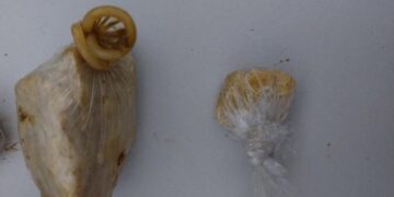 PMRO captura foragido e APREENDE drogas que seriam levadas a Porto Velho