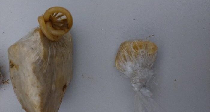 PMRO captura foragido e APREENDE drogas que seriam levadas a Porto Velho