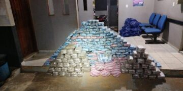 PM apreende 257 kg de maconha após troca de tiros na BR-429 em São Miguel do Guaporé