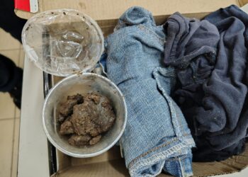 Operação Protetor das Fronteiras: DENARC Intercepta Envio de Haxixe nos Correios de Porto Velho!Porto Velho, RO