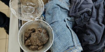 Operação Protetor das Fronteiras: DENARC Intercepta Envio de Haxixe nos Correios de Porto Velho!Porto Velho, RO