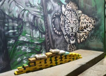 PMRO E PRF APREENDEM APROXIMADAMENTE 50 QUILOS DE DROGAS DURANTE OPERAÇÃO NA ZONA RURAL DA BR-425, EM NOVA MAMORÉ