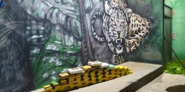 PMRO E PRF APREENDEM APROXIMADAMENTE 50 QUILOS DE DROGAS DURANTE OPERAÇÃO NA ZONA RURAL DA BR-425, EM NOVA MAMORÉ