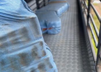 PF prende homem com 261 kg de drogas em Porto Velho/RO