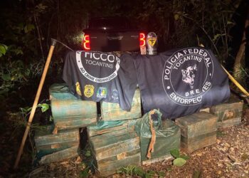 FICCO/TO desarticula organização criminosa e apreende 460 kg de cocaína