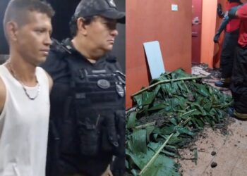 Falso jardineiro mata patrão de 67 anos, “faz a limpa” e se passa pela vítima para enterrar corpo