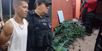 Falso jardineiro mata patrão de 67 anos, “faz a limpa” e se passa pela vítima para enterrar corpo