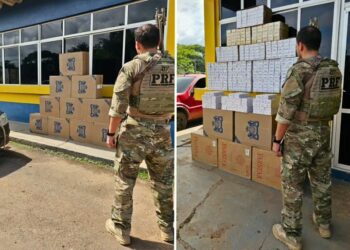 Mais de 12 mil maços de cigarros são apreendidos na BR-364
