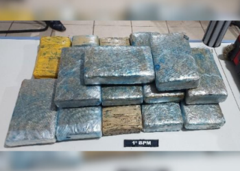 POLÍCIA MILITAR APREENDE 16 QUILOS DE ENTORPECENTE DURANTE AÇÃO EM PORTO VELHO