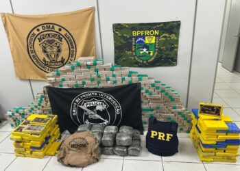 PF, PRF e PM apreendem cerca de 390 kg de drogas e prendem dois suspeitos