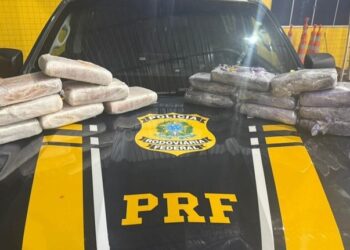 PRF em Rondônia apreende cerca de 8 kg de skunk escondidos em latas de massa corrida