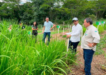 Programa estadual fortalece pecuária leiteira e aumenta produtividade na agricultura familiar em Rondônia