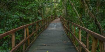 Piquenique no Parque Natural terá ônibus gratuito para mulheres