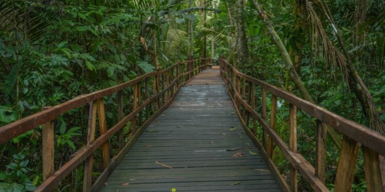 Piquenique no Parque Natural terá ônibus gratuito para mulheres
