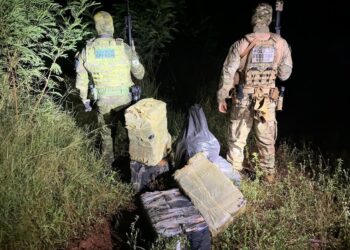 PF e PM/PR apreendem 185 kg de maconha em Foz do Iguaçu/PR