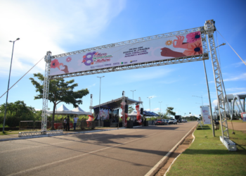 Entre cuidado e união, mulheres celebram o 8 de Março