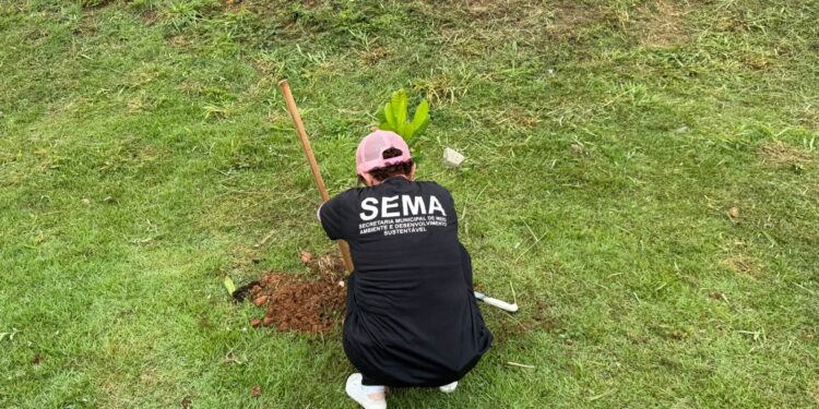 Plantio de mudas beneficia comunidade do Morar Melhor