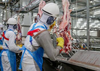 Mais de 2,3 mil vagas de emprego em Rondônia: veja se sua cidade está na lista desta semana