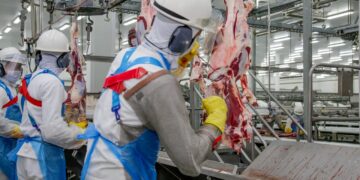 Mais de 2,3 mil vagas de emprego em Rondônia: veja se sua cidade está na lista desta semana