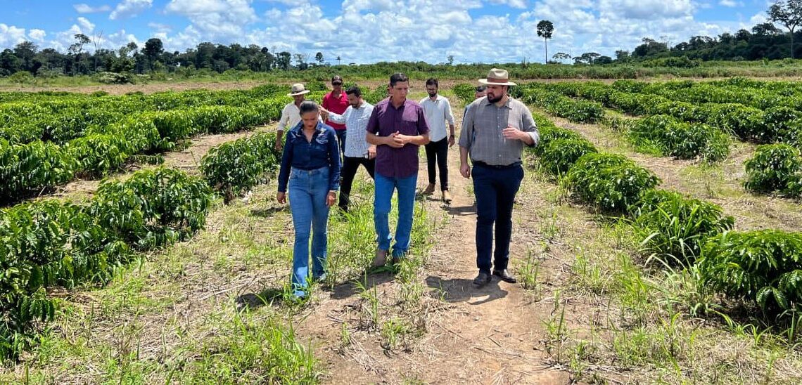 Jean Oliveira destina mais de 200 mil mudas de café para produtores de Candeias do Jamari