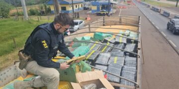 PRF apreende, no Paraná, a maior quantidade de maconha do ano em rodovias federais