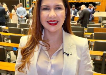 Deputada Cristiane Lopes defende avanço do PLP 108 e reforça apoio aos microempreendedores de Rondônia