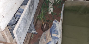 FORÇA TÁTICA DA PMRO FLAGRA HOMEM FURTANDO CIMENTO