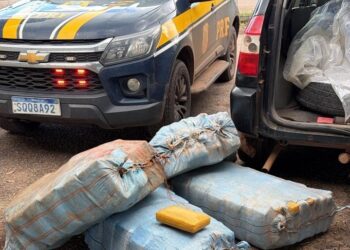 PRF e Polícia Civil desarticulam transporte de aproximadamente 230 kg skunk e recuperam veículo utilizado em assaltos