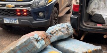 PRF e Polícia Civil desarticulam transporte de aproximadamente 230 kg skunk e recuperam veículo utilizado em assaltos