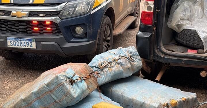 PRF e Polícia Civil desarticulam transporte de aproximadamente 230 kg skunk e recuperam veículo utilizado em assaltos