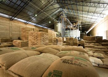 Ampliação de armazenamento de grãos e certificação do café de Rondônia são temas de reunião, em Porto Velho