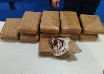 ABORDAGEM DA PMRO EM PASSAGEIRA DE ÔNIBUS APREENDE GRANDE QUANTIDADE DE ENTORPECENTES EM VILHENA