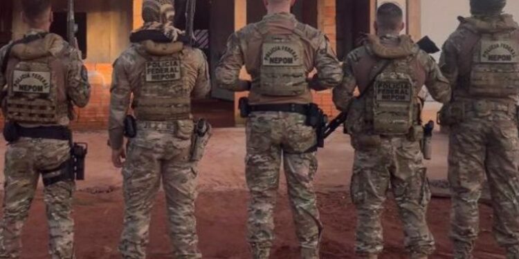 PF combate tráfico interestadual de drogas em RO e no PA