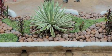 Jardins de chuva reforçam drenagem urbana