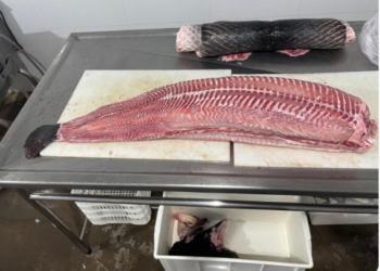 Regularização abre portas para agroindústrias no município