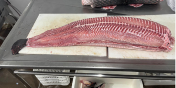 Regularização abre portas para agroindústrias no município