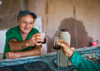Café transforma vidas de produtores reassentados