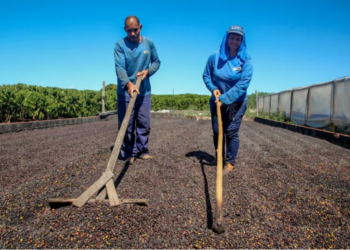 Rondônia destaca-se na Amazônia ao conquistar parceria com a ONU e recurso internacional para bioeconomia