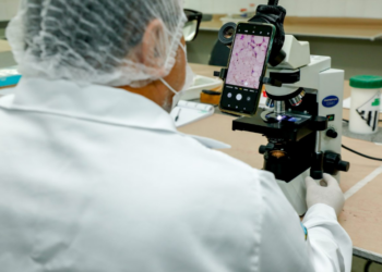 Prevenção à Doença de Chagas é reforçada pela Vigilância em Saúde com ações de orientação à comunidade