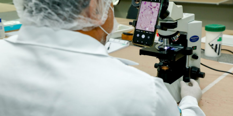 Prevenção à Doença de Chagas é reforçada pela Vigilância em Saúde com ações de orientação à comunidade