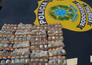 PRF apreende carga de medicamentos para emagrecimento avaliada em R$ 110 mil